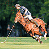 Pilar� Piaget a d�marr� en force l�Open d�Argentine, le tournoi qui oppose les �quipes aux handicaps les plus �lev�s, en s�imposant par 16 buts � 15 face � l��quipe Indios Chapaleuf�, le 14 novembre dernier